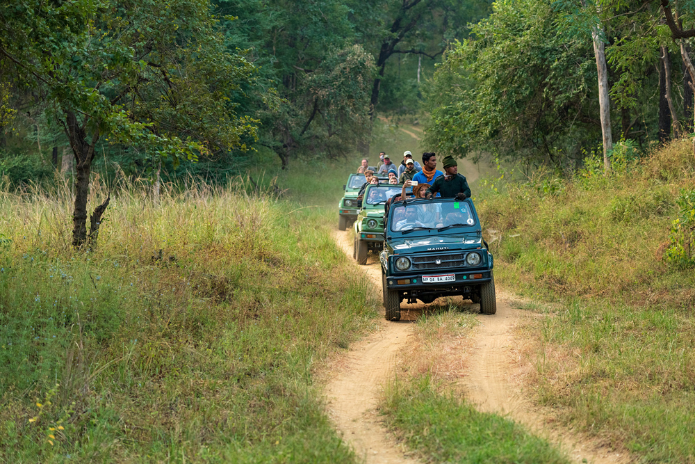 Eco-friendly Pachmarhi Tour - Last Minute India Tour Deal